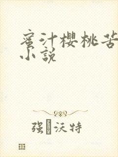 蜜汁樱桃苦咖啡小说