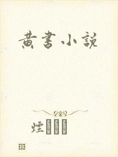 黄书小说