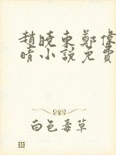 赵晓东郑伟吴雪晴小说免费阅读