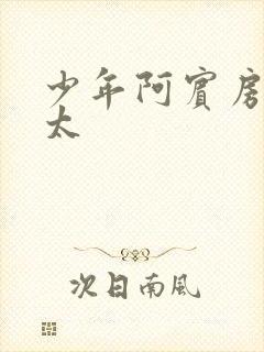 少年阿宾房东太太