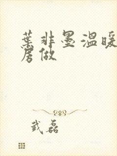 叶非墨温暖在厨房做