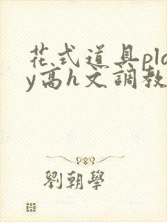 花式道具play高h文调教