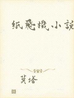 纸飞机小说