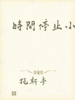时间停止小说