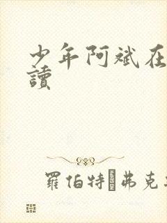 少年阿斌在线阅读