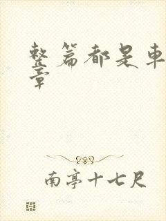 整篇都是车的文章