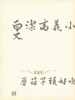 白洁高义小说全文