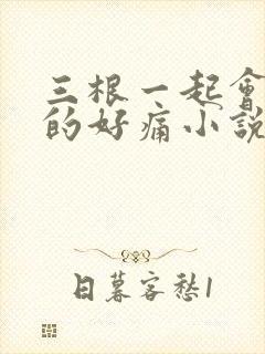 三根一起会坏掉的好痛小说