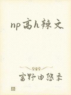 np高h辣文