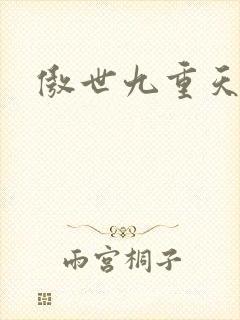 傲世九重天小说