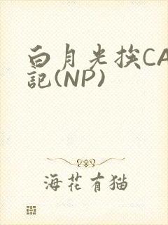 白月光挨CAO记(NP)