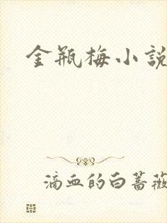 金瓶梅小说下载