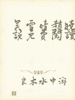 吴雪晴赵晓东小说免费阅读