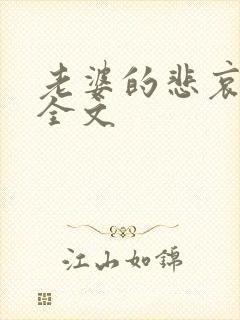 老婆的悲哀小说全文