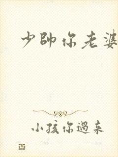 少帅你老婆