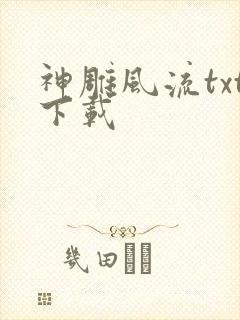 神雕风流txt下载