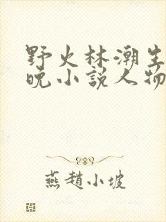 野火林潮生林晚晚小说人物野火