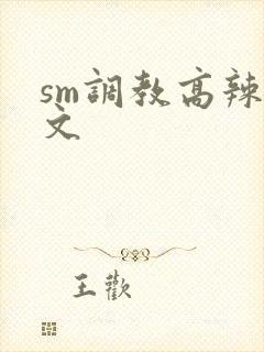 sm调教高辣h文