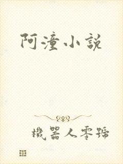 阿潼小说