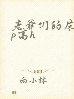 老爷们的床奴np高h