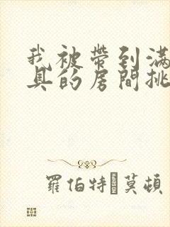 我被带到满是玩具的房间挑调作文