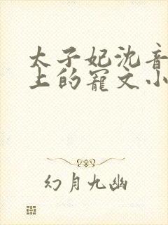 太子妃沈音和皇上的宠文小说