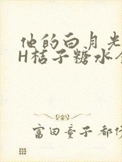 他的白月光HVH桔子糖水全文