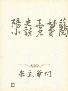 阳光正好苏玥玥小说免费阅读