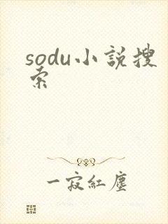 sodu小说搜索