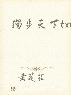 独步天下txt