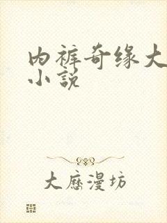 内裤奇缘大团结小说