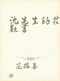 沈先生的花式调数书