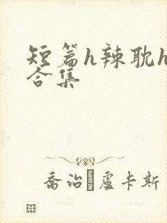 短篇h辣耽h文合集