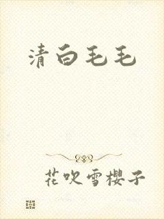 清白毛毛