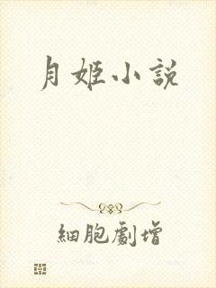 月姬小说