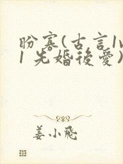 盼寡(古言1v1 先婚后爱)荔枝好多