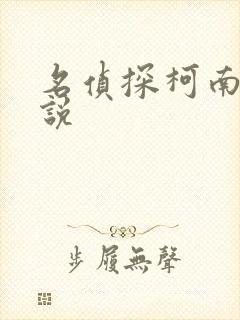 名侦探柯南h小说