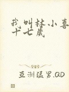 我叫林小喜今年十七岁