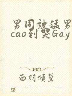 男同被猛男房东cao到哭Gay