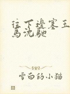 往下边塞玉器骑马沈驰