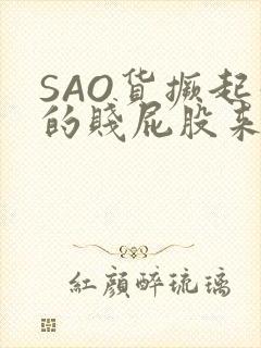 SAO货撅起你的贱屁股来