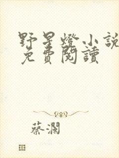 野星灯小说全文免费阅读