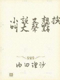 小说又想挨C了叫大声点