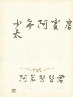 少年阿宾房东太太