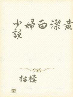 少妇白洁黄色小说