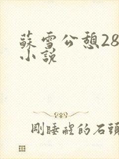 苏雪公憩28篇小说