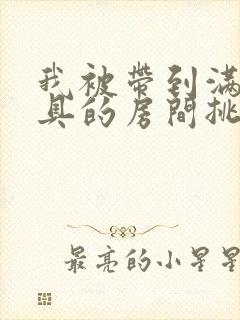 我被带到满是玩具的房间挑调游戏