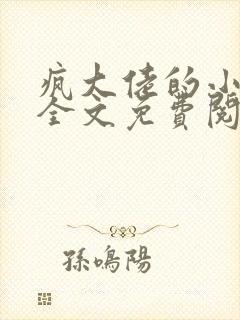 疯大佬的小玩物全文免费阅读小说