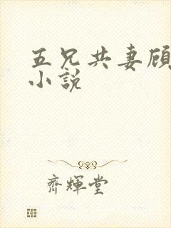 五兄共妻顾心儿小说