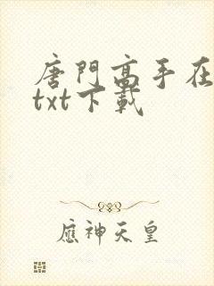 唐门高手在异世txt下载